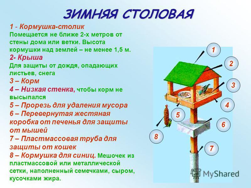 Кормушка по составу. Задачи проекта кормушка для птиц. Кормушка для птиц схема изготовления. Цель проекта кормушка для птиц. Высота кормушки для птиц.