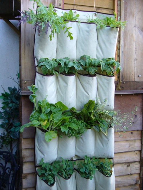 Vertical Garden - 40 Genius Space-Savvy Small Garden Ideas and Solutions
