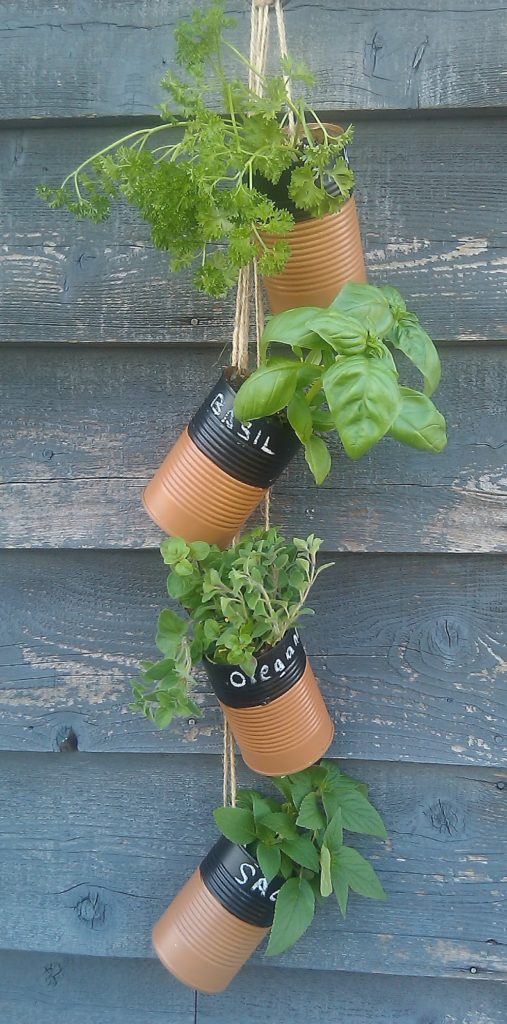 Hanging can herb garden