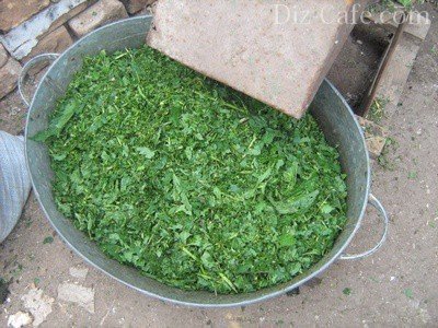 Измельченная трава Измельченная трава