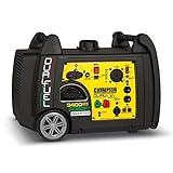 Champion 3400-Watt Dual Fuel RV Ready Portable Inverter Generator with Electric Start