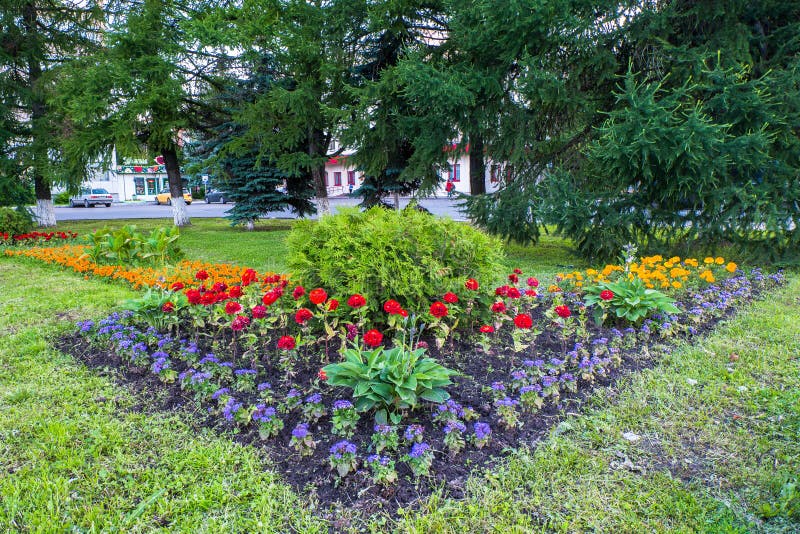 Beautiful colorful decorative flowers on the flower bed in the city Park.  royalty free stock photography