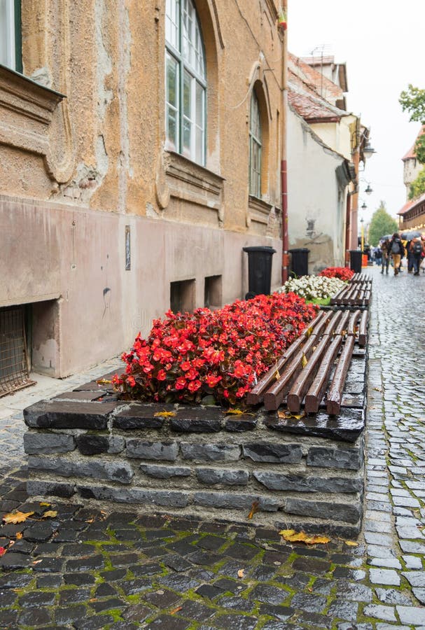 A bench and flower bed with flowers in a rainy day in Sibiu city in Romania stock photography