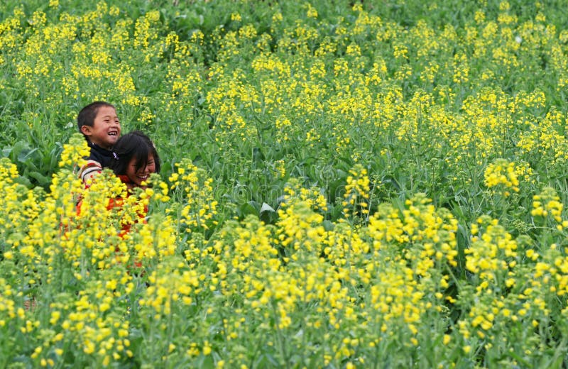 Children playing in the flower field stock image
