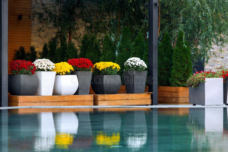 The courtyard of a private house with flowerpots. Courtyard of a private house with flowerpots of flowering