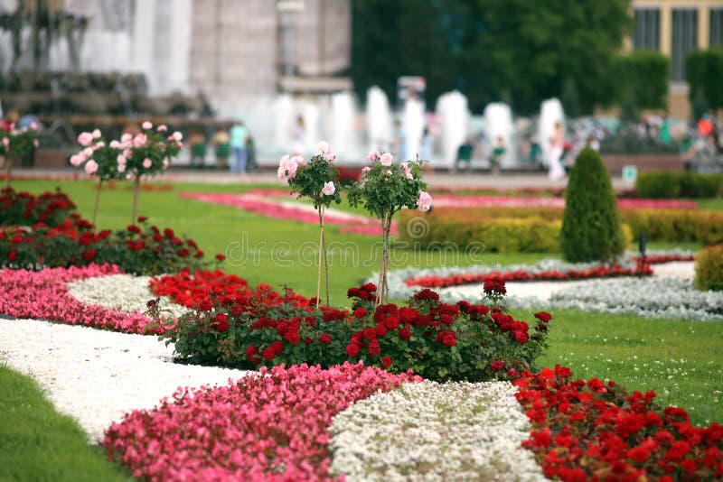 Designer flower beds in city Park stock images