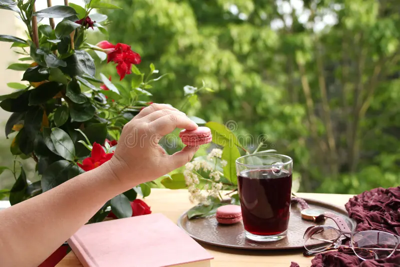 Female hand holds a french pasta cake in the garden, pomegranate, cherry juice, fruit drink in a glass mug, clematis flowers,. Concept lifestyle, breakfast on royalty free stock photography