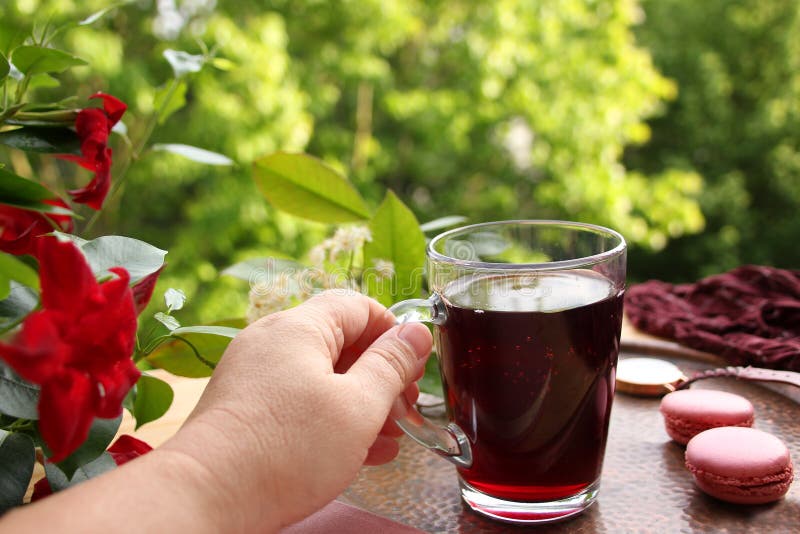 Female hand holds pomegranate, cherry juice, fruit drink in a glass mug, French pasta cake in the garden, clematis flowers, green. Foliage, concept lifestyle royalty free stock images