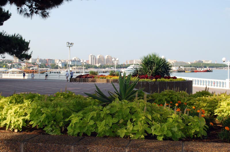 Flower beds as a part of landscape design on the Gelendzhik city embankment royalty free stock photography