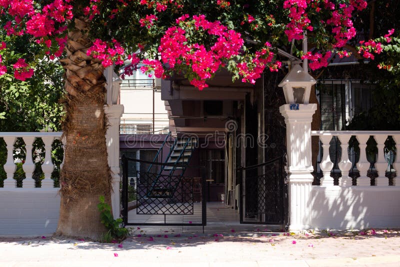 Gate at the entrance to the courtyard of a private house. Beautiful red flowers grow above the arch. The house consists of two floors, a metal staircase leads stock image