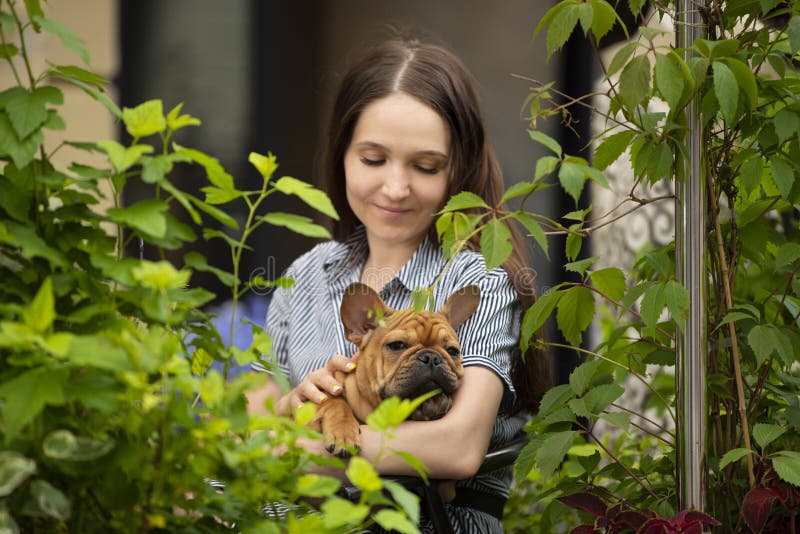 Girl with a french bulldog puppy sitting on a cafe terrace on a summer day.  royalty free stock images