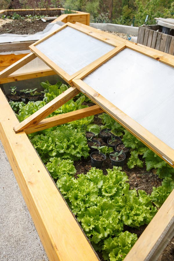 Homemade greenhouse raised garden bed royalty free stock photos
