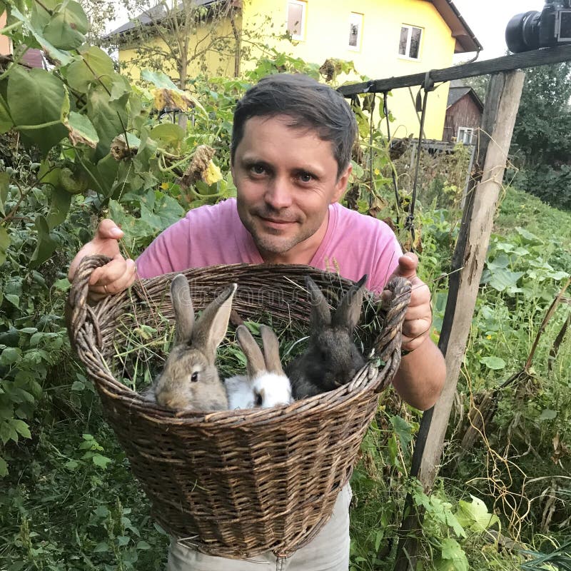 A man holds in his hands a large wicker basket with rabbits. It stands in the courtyard of a private courtyard.  stock images
