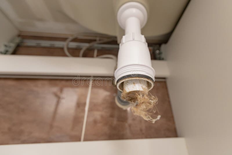 Professional male plumber eliminates blockage in siphon of sink drain pipe.  stock photography