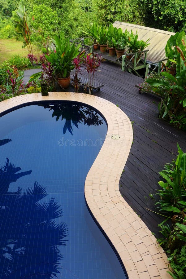 Wood patio & pool layout with landscaping. Top view looking down at pool patio - A photograph showing the design and layout of a blue swimming pool on top of a royalty free stock photography