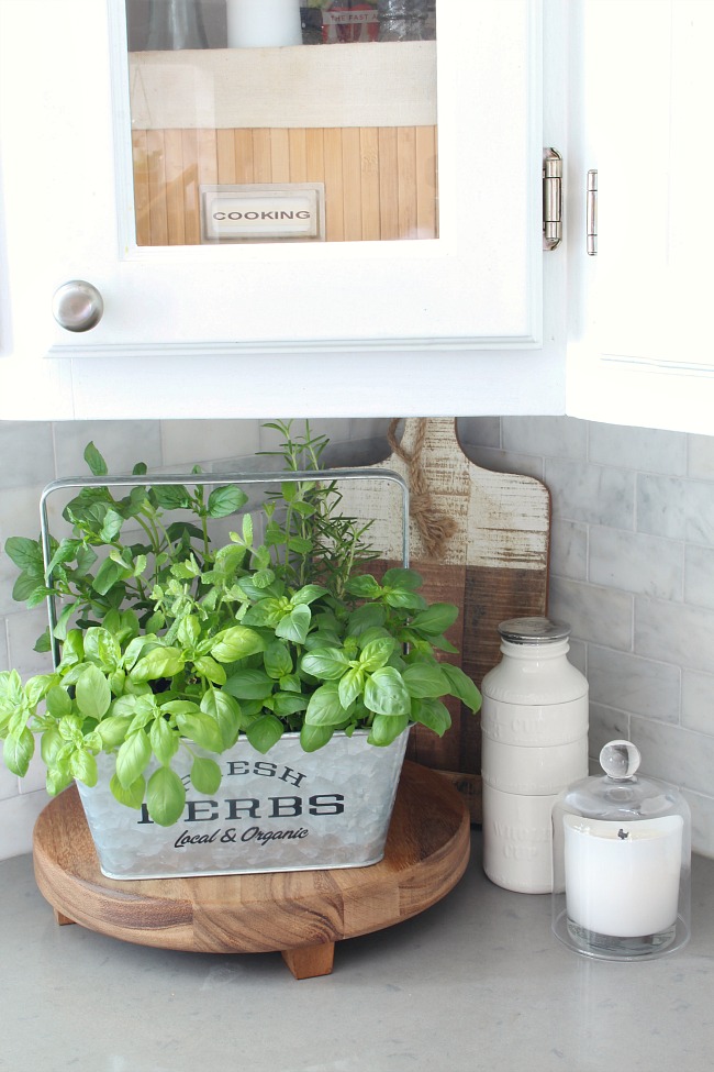 Fresh herb garden in a galvanized bucket for the kitchen counter.