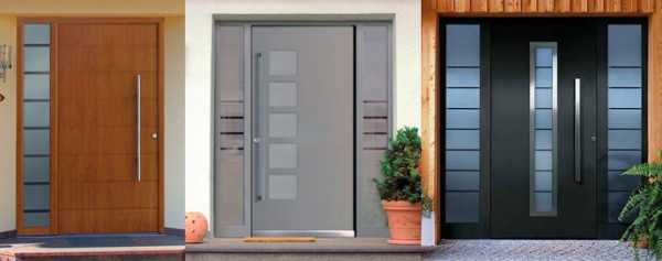 Алюминиевые Двери В Частный Дом Фото