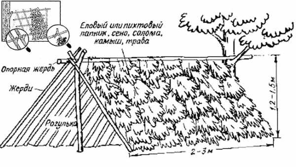  домики из дерева – этапы строительства, проекты, чертежи и .