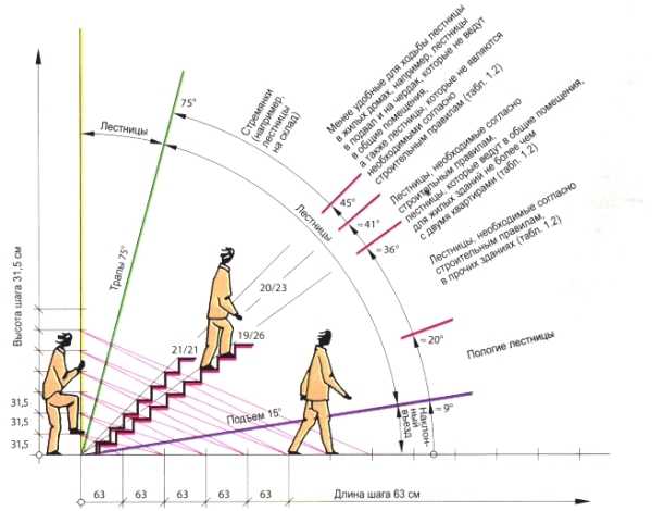 Формула для расчета ступенек лестницы – Расчет размеров и количества .