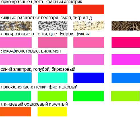 Цветное растровое графическое изображение палитра которого 65536 цветов имеет размер 100х100