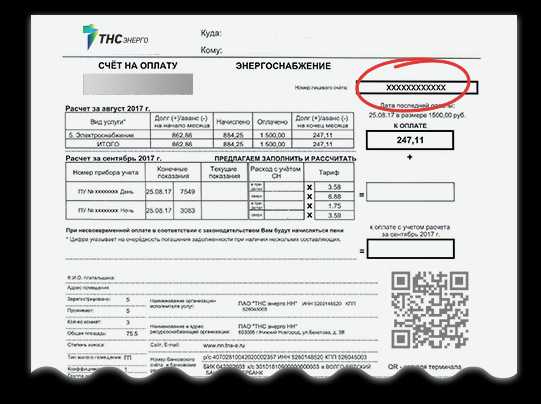 Показания за свет нижегородская область тнс. Квитанция ТНС Энерго. Электронная квитанция за электроэнергию ТНС Энерго. Квитанция ТНС Энерго Нижний Новгород. Квитанция электроэнергии ТНС Энерго НН.