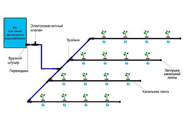 Автоматический полив своими руками подробная схема