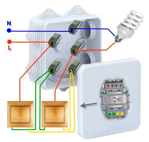 Распределительная коробка выключатель. Расключение выключателя двухклавишного в коробке на 2 лампочки. Схема подключения распред коробки выключатель. Расключение распаечной коробки с выключателем. Распаечная коробка, выключатель, 2 лампы.